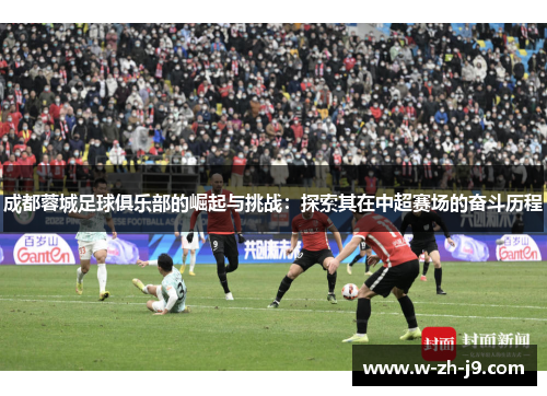 成都蓉城足球俱乐部的崛起与挑战：探索其在中超赛场的奋斗历程